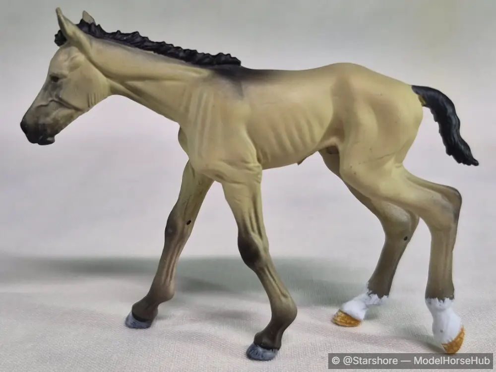 Little Sparrow Man — entry in Mixed, Foals & Other Breeds