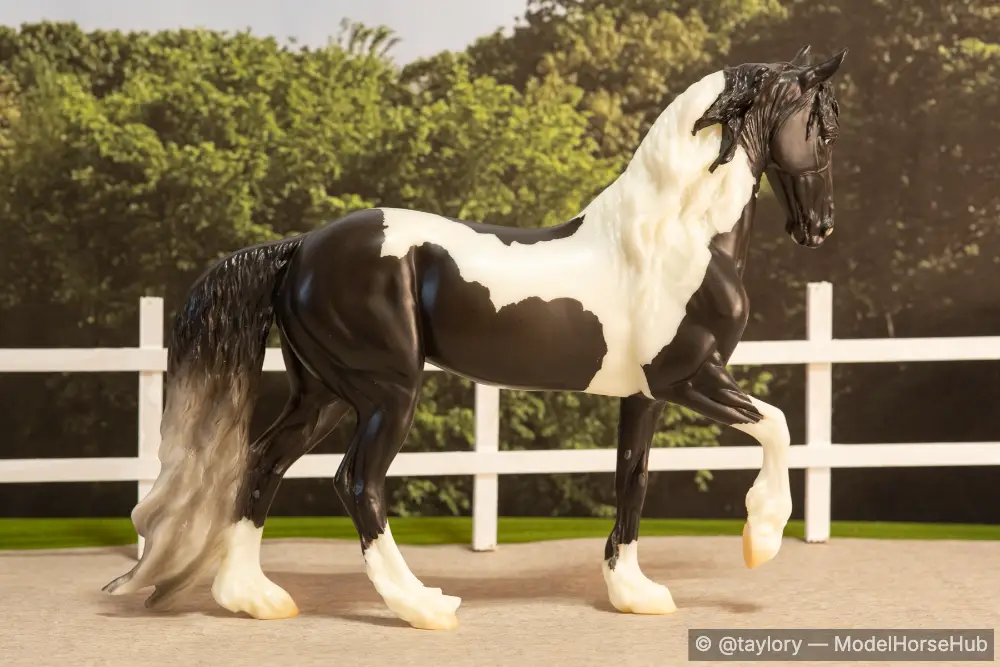 Amore — entry in Thoroughbred, Warmblood & Sport