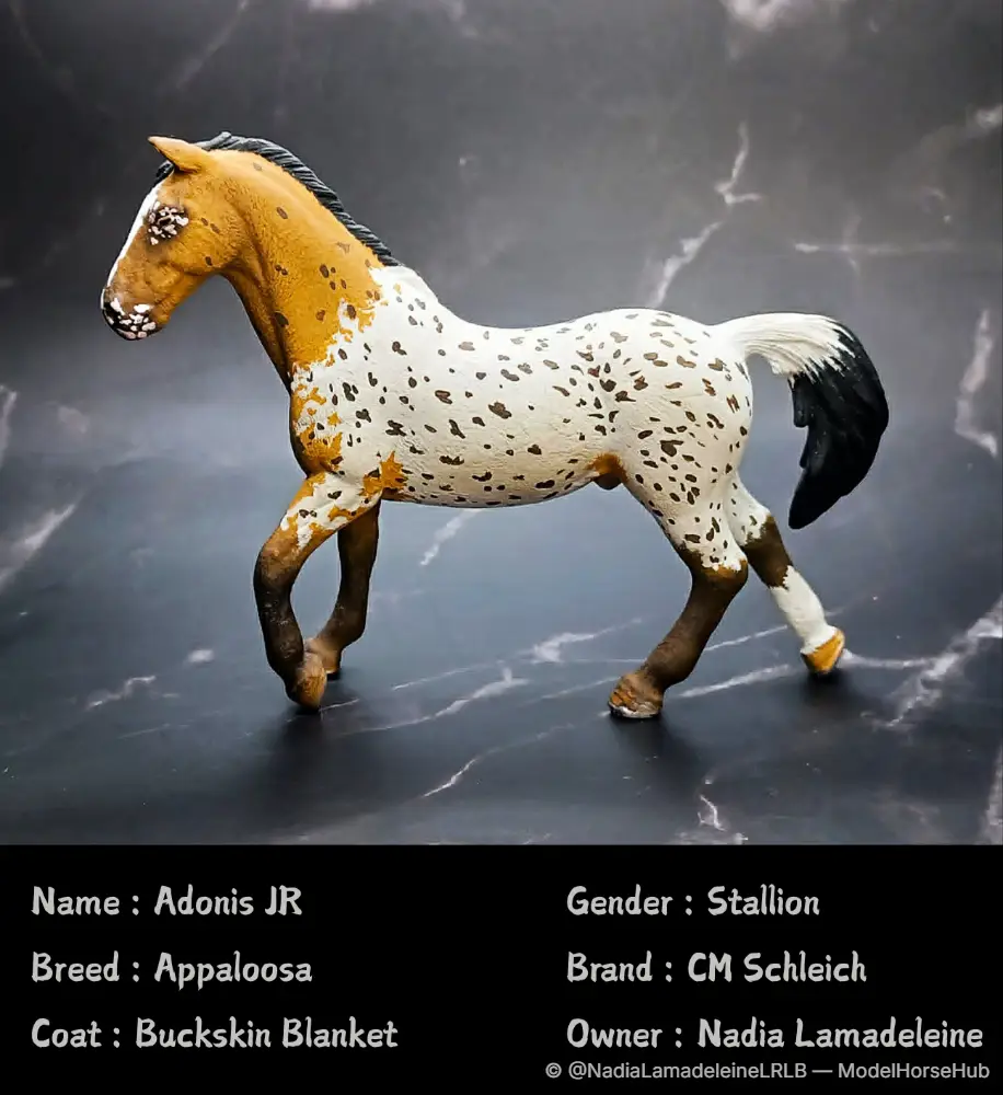 Adonis JR, finished by this studio