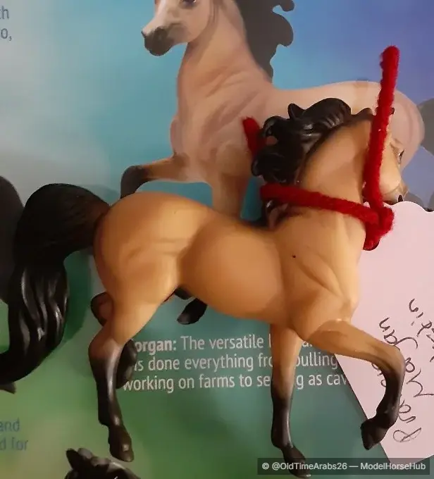 Prancing Morgan 6058