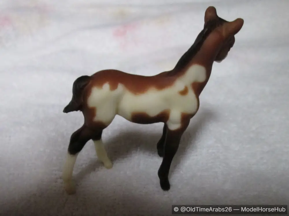 Pinto Foal 5655