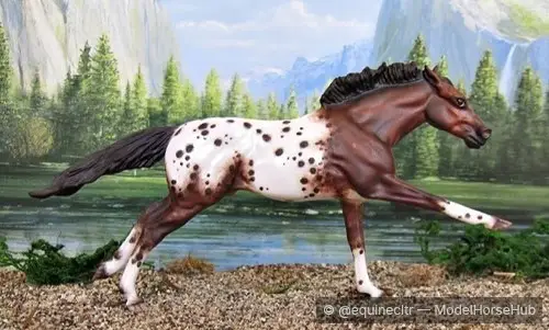 Challenge Me Not — entry in OF Appaloosa