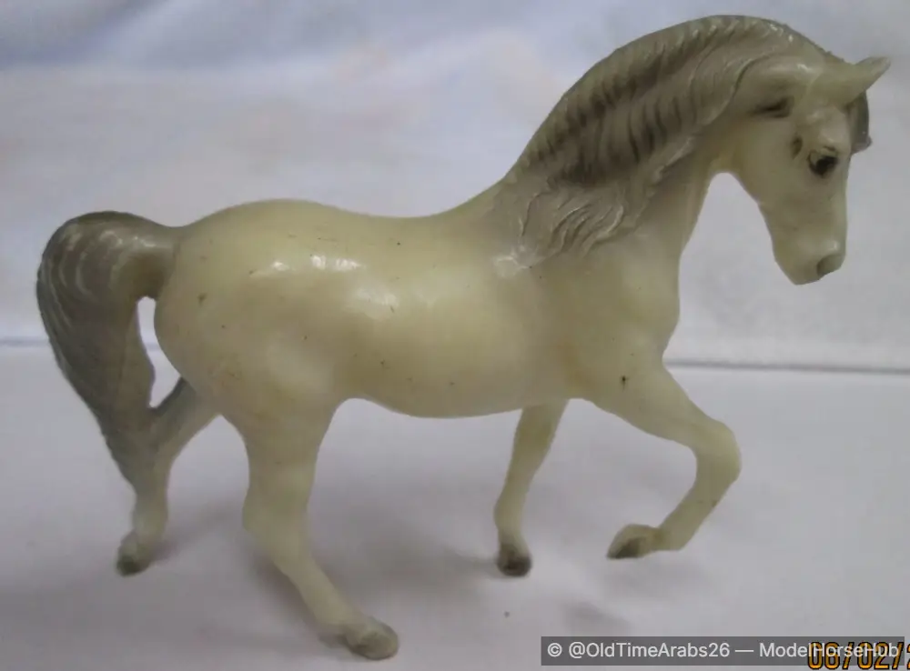 Morgan Stallion 5016