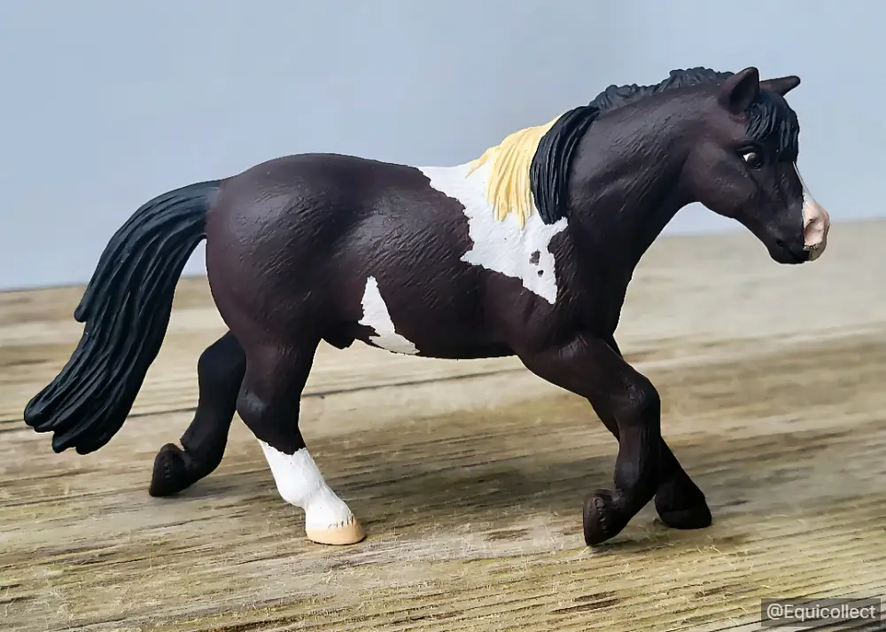 EQC Petty Theft — entry in CM/AR British Pony