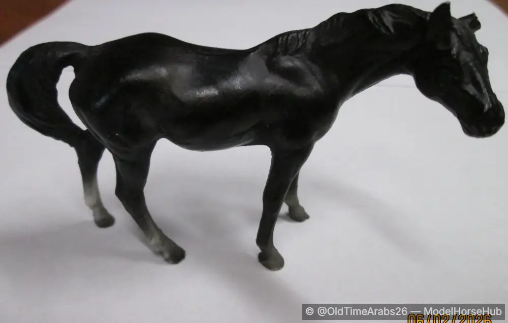 Thoroughbred Mare 5028