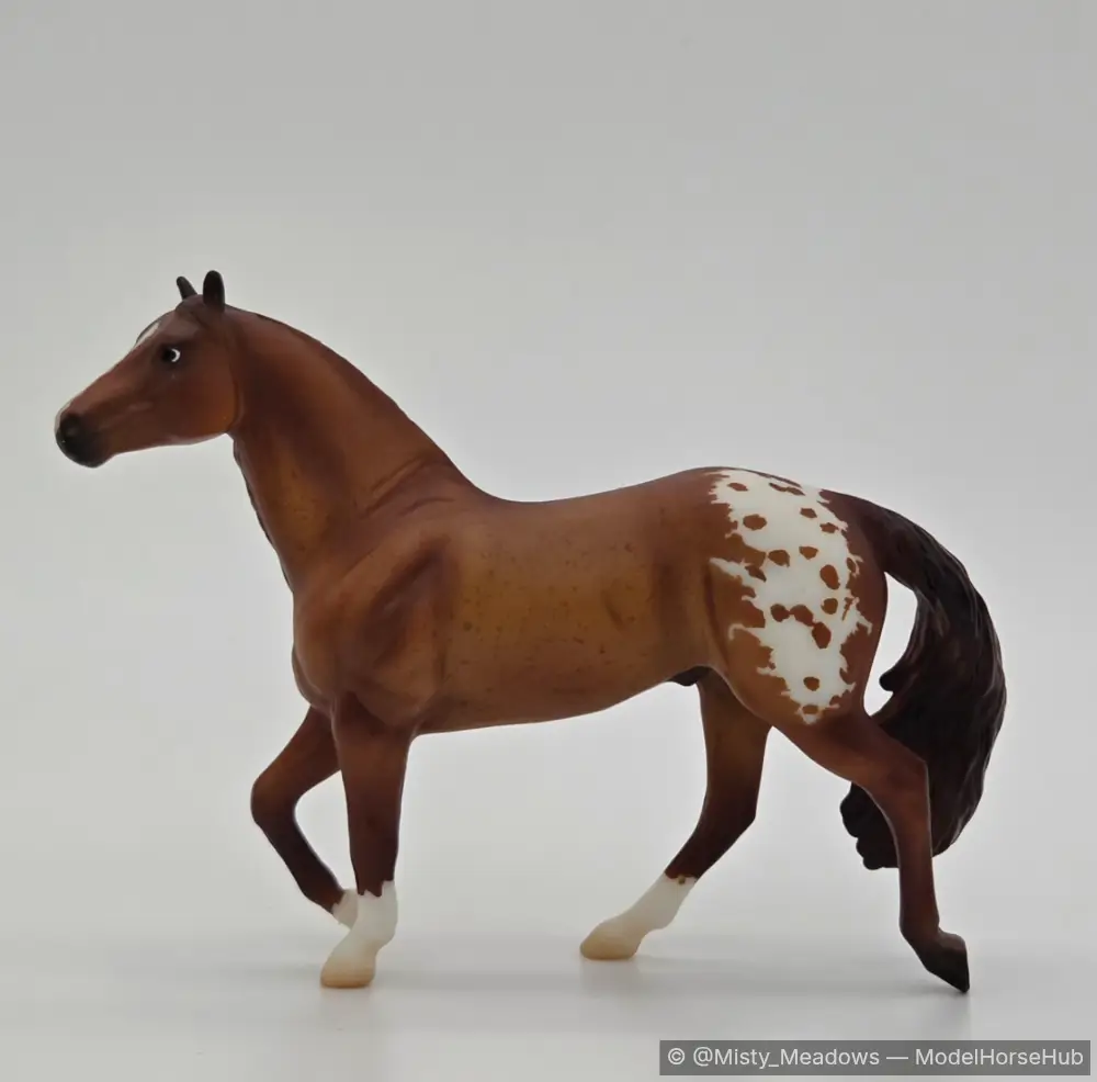 Stargazer — entry in OF Appaloosa