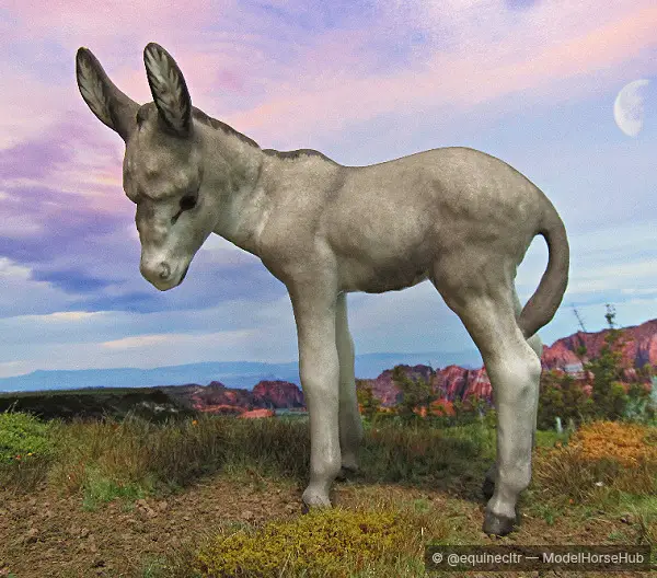 Pogo — entry in OF Longear & Exotic Breed Foals
