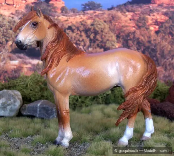 Tehema — entry in CM/AR Mustang