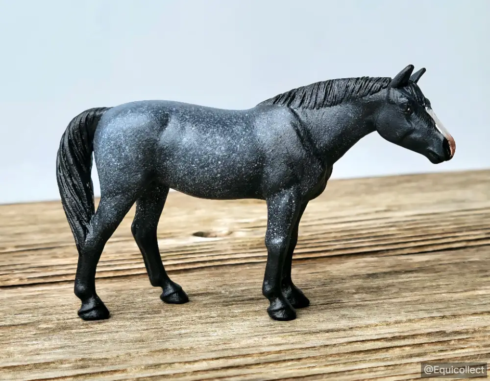 EQC Black Static — entry in CM/AR Quarter Horse