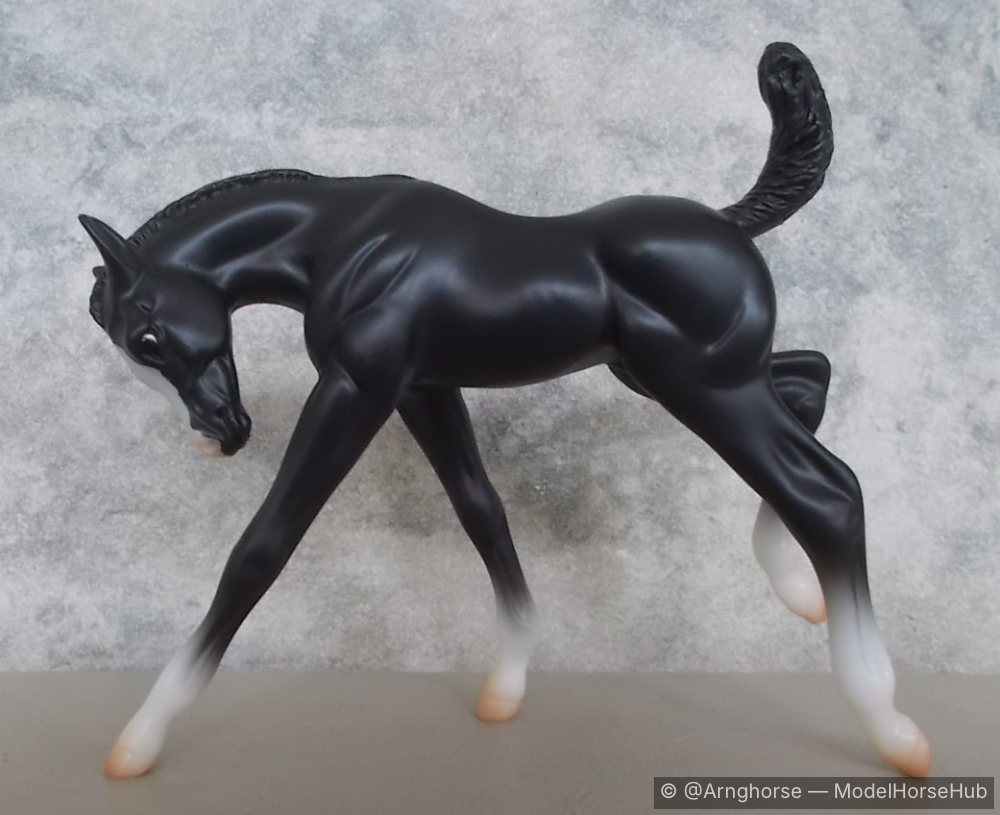 Thackeray Binx