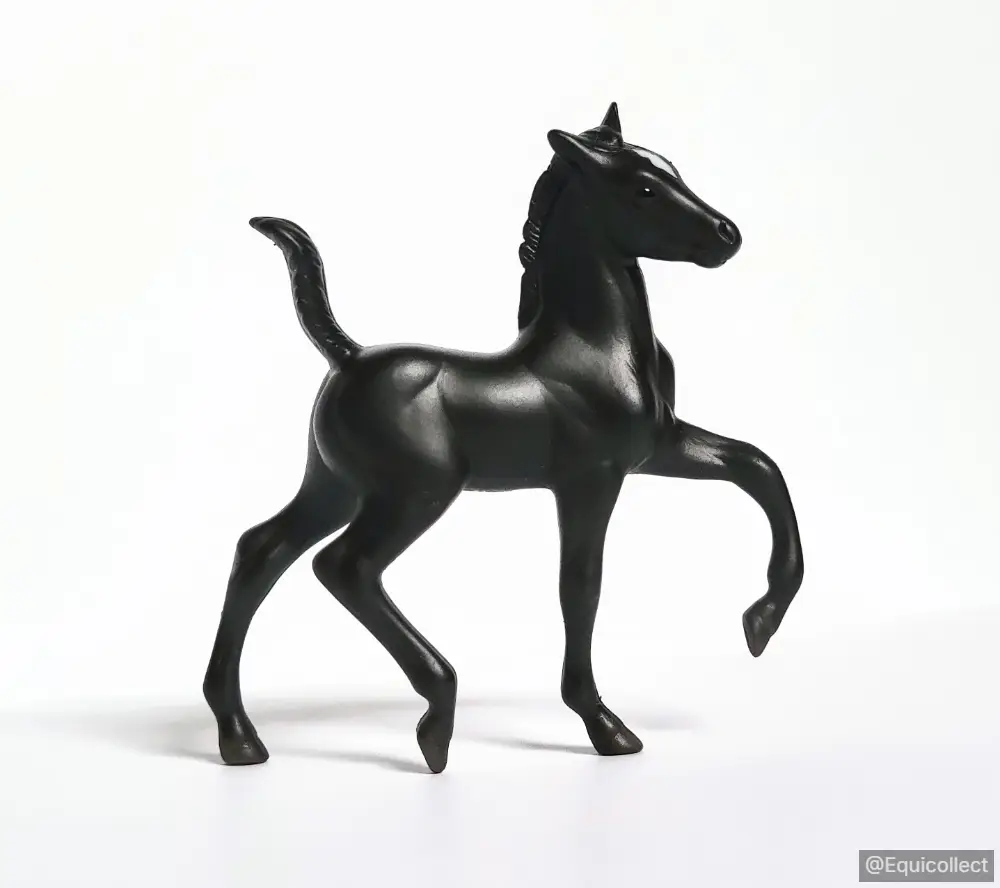 EQC Knight Watch — entry in Mixed, Foals & Other Breeds