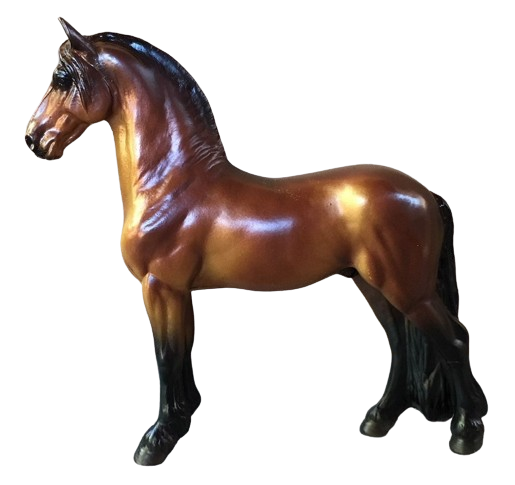 Bay Standing Friesian