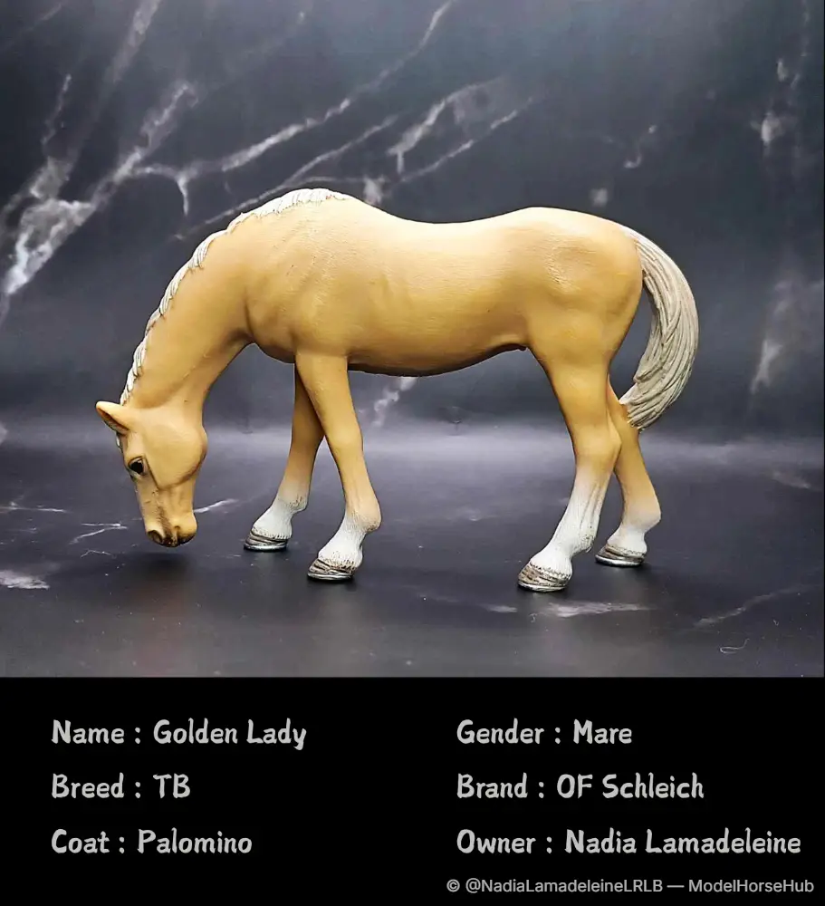 Golden Lady