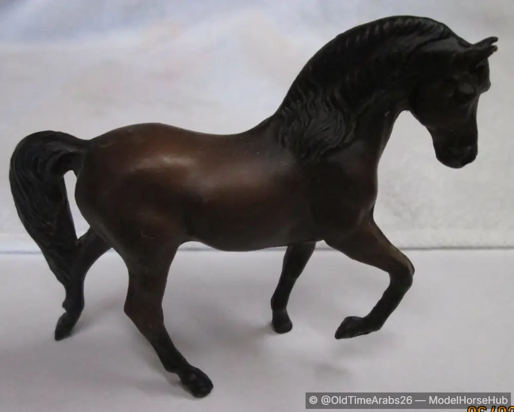 Morgan Stallion