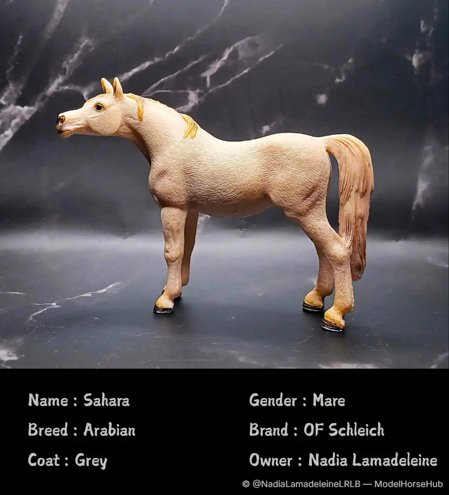 Sahara