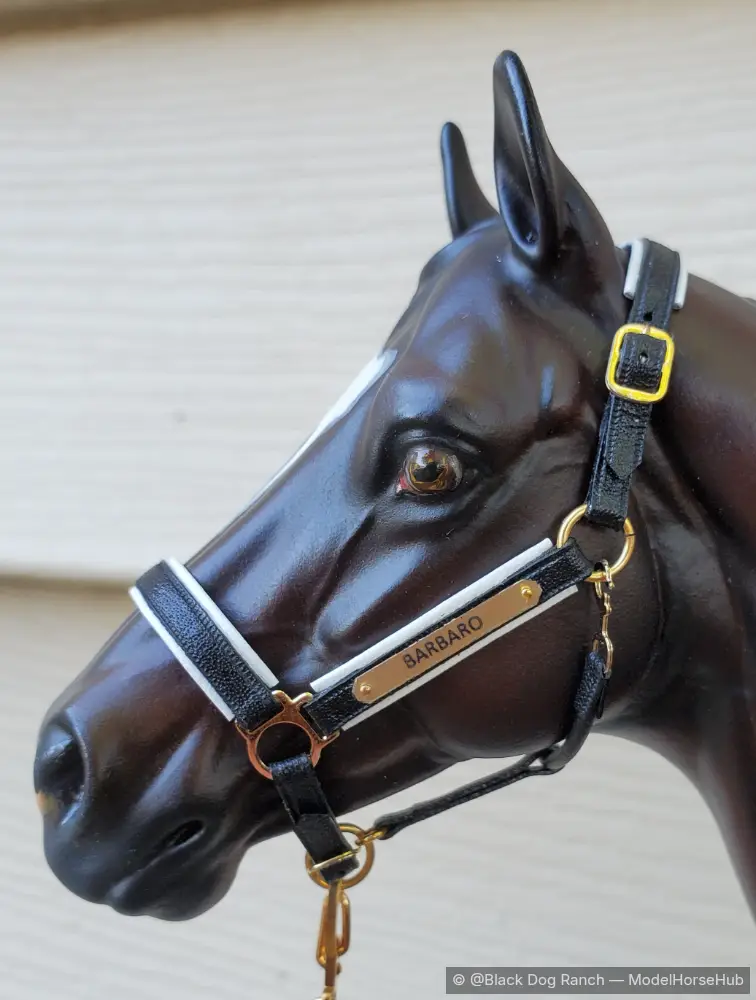 Dark Leather Halter - Barbaro's Image
