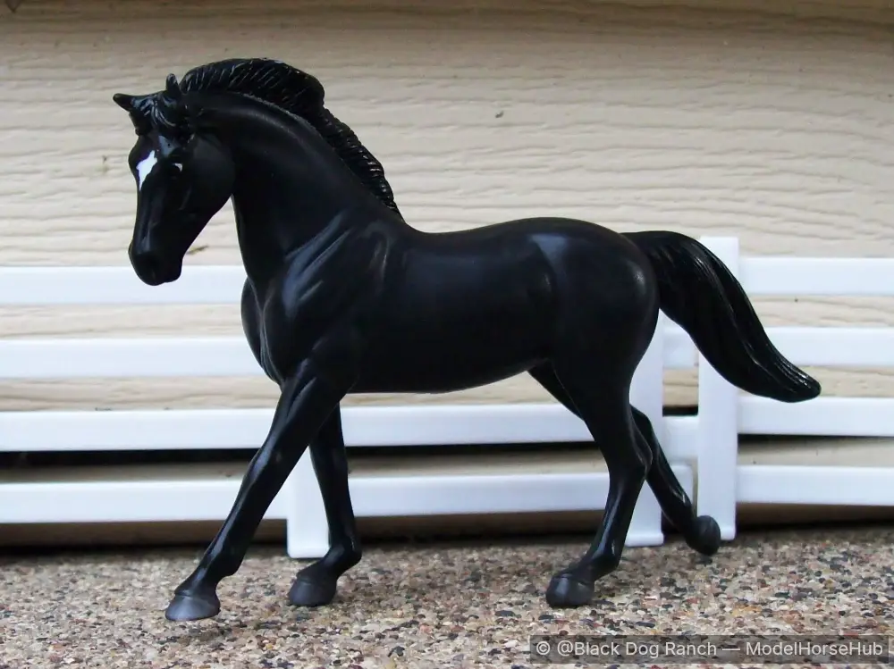 Midnight Onyx - 11