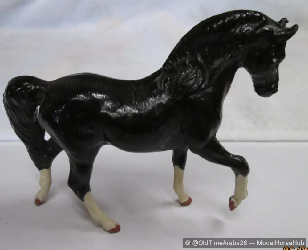 Morgan stallion 5036