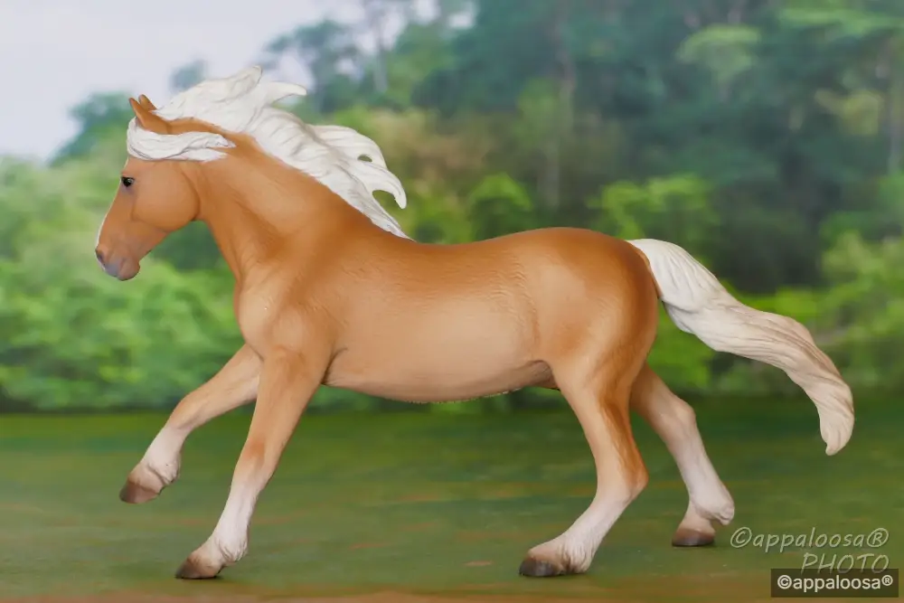 Amadeus Apollo — entry in European Pony