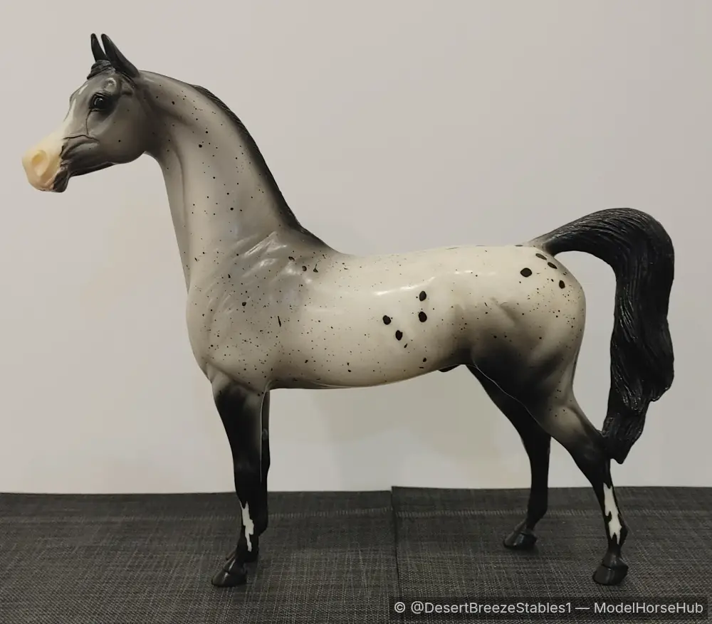 DBS Silver Shadow — entry in Part-Arabian