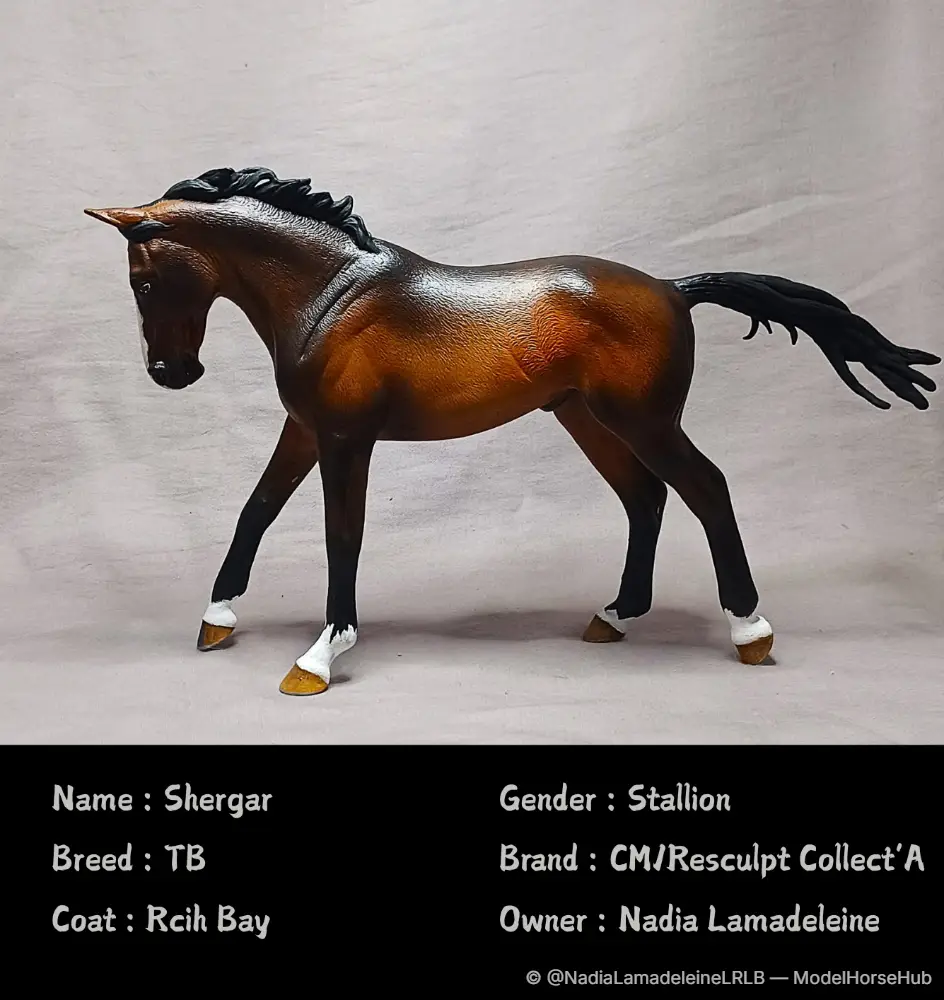 Shergar, finished by this studio
