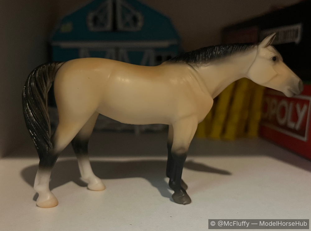 Quarter Horse