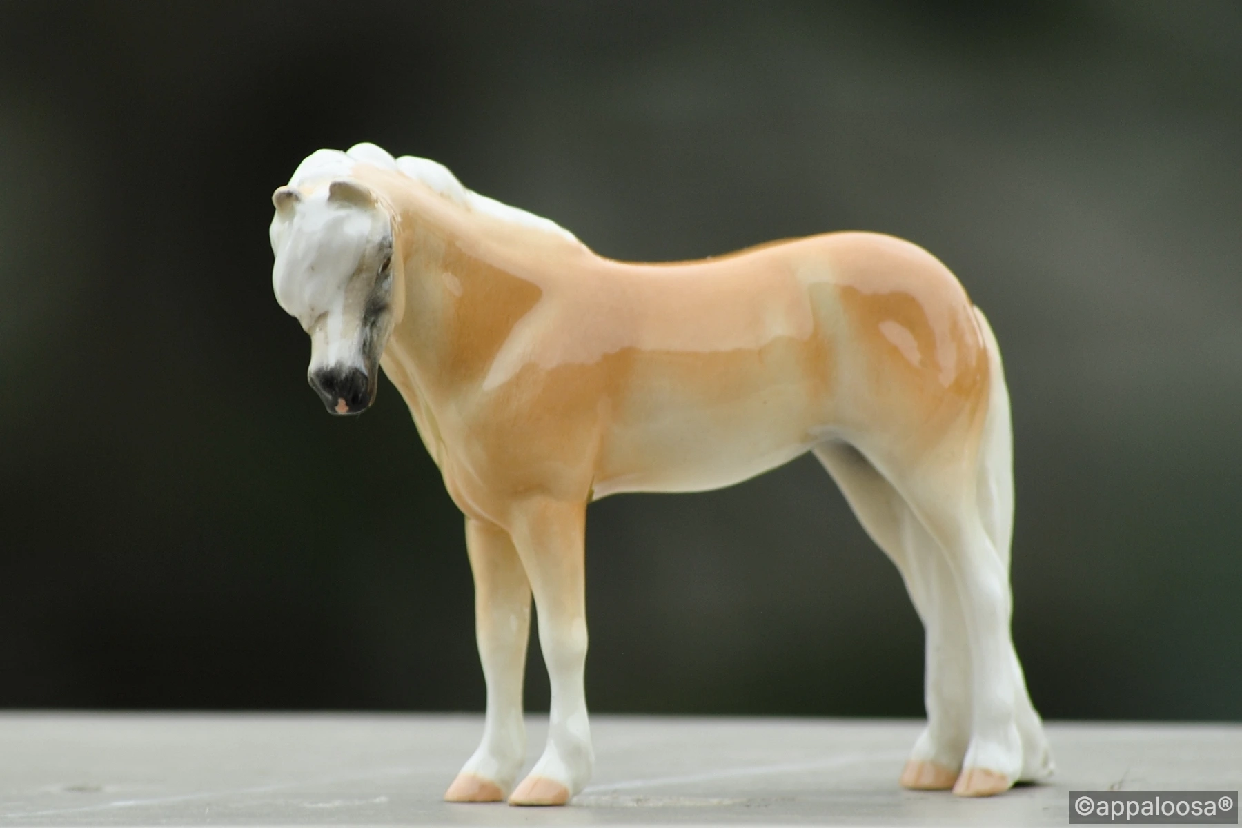 Julia — entry in European Pony