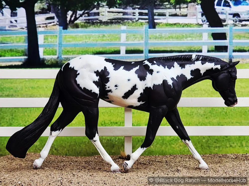 T.J.'s Black Jill