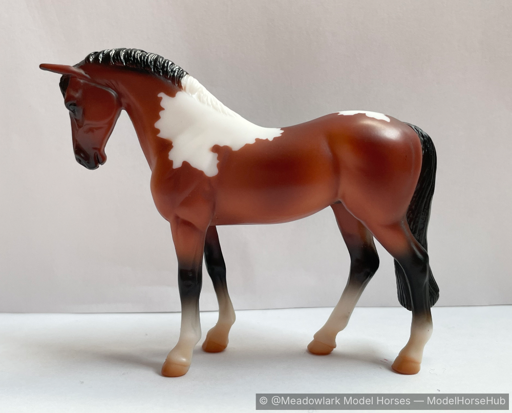 Spring Snow — entry in Thoroughbred/Standardbred
