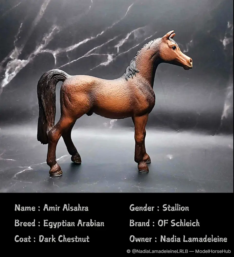 Amir