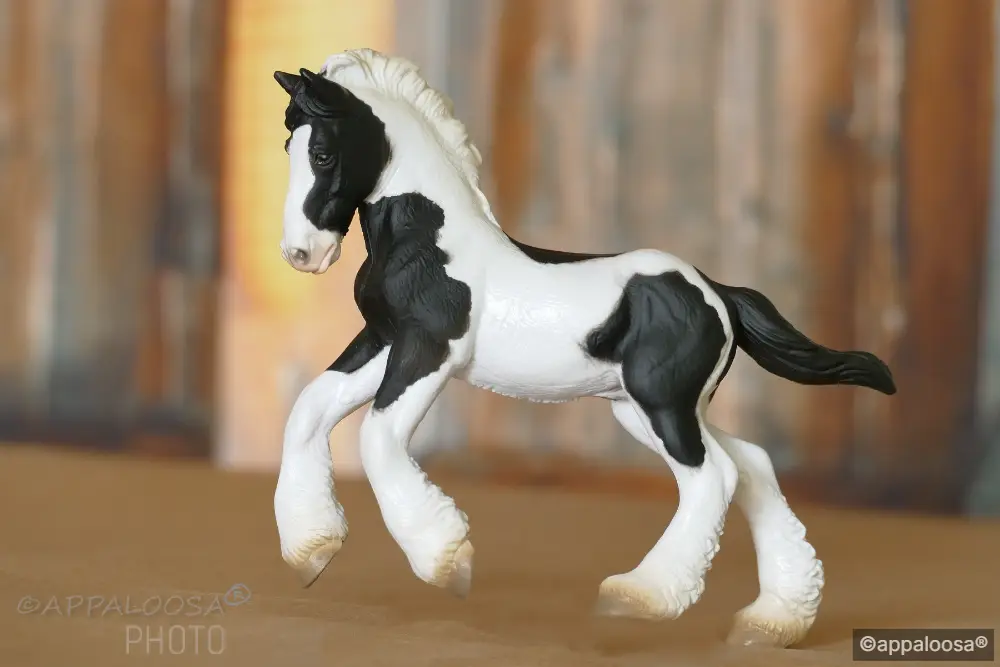 Gypsy Princess — entry in Foals