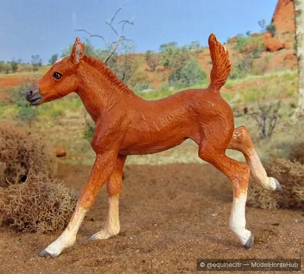 Warrego