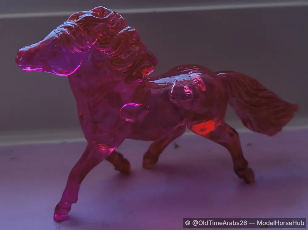 Shetland Pony