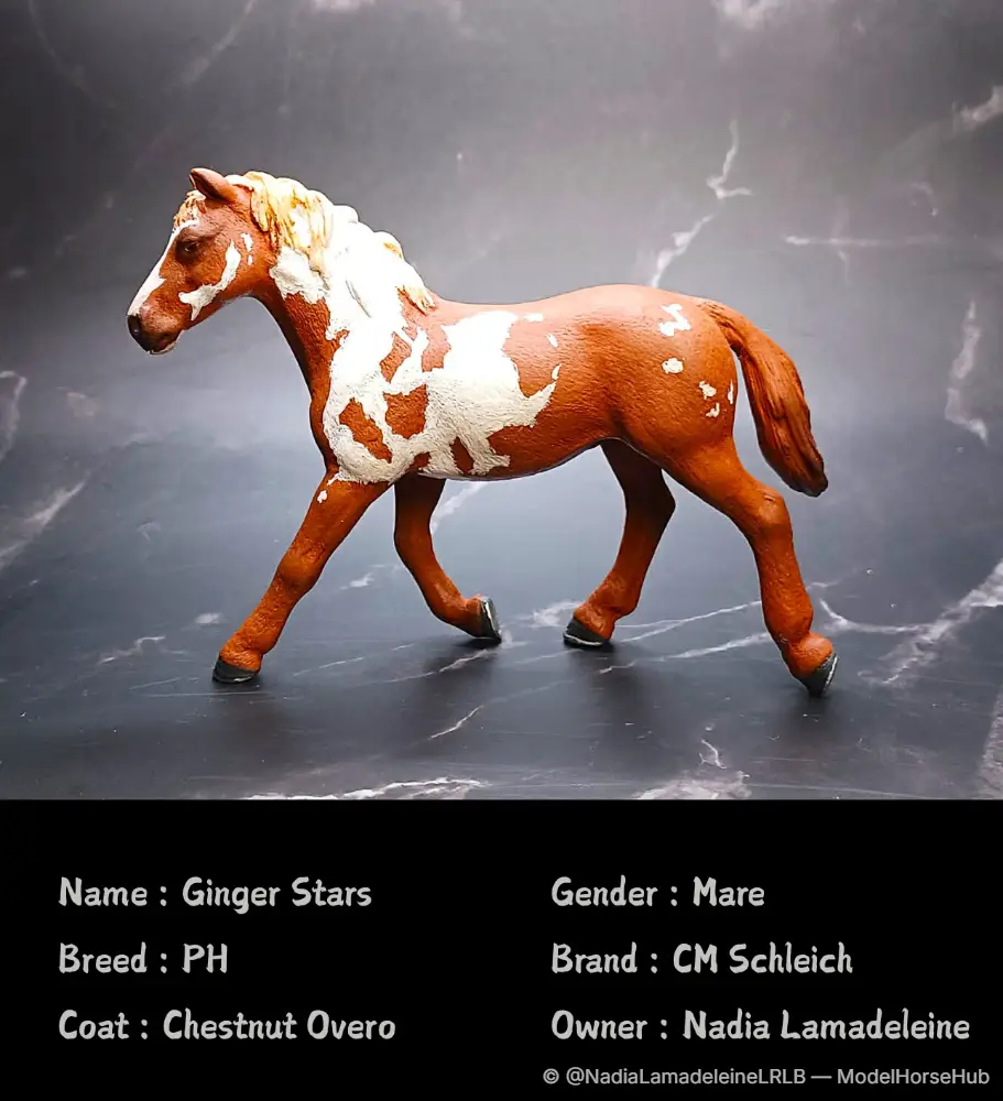 Ginger Star, finished by this studio