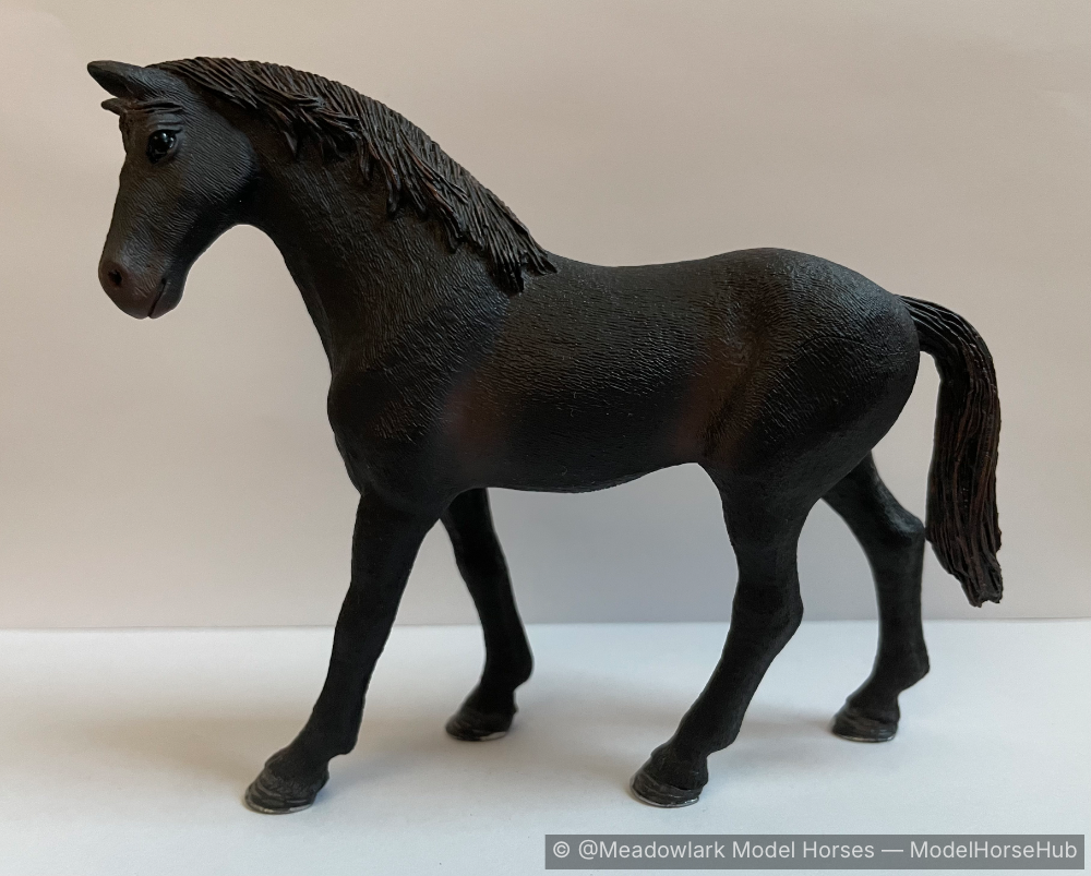 Coal — entry in Warmblood