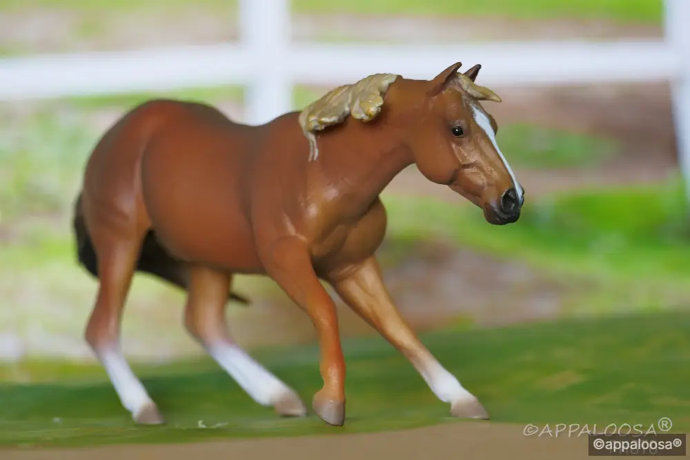 Cadillacs Cool Whip — entry in Quarter Horse
