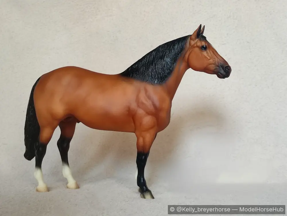 Acléo — entry in OF Quarter Horse