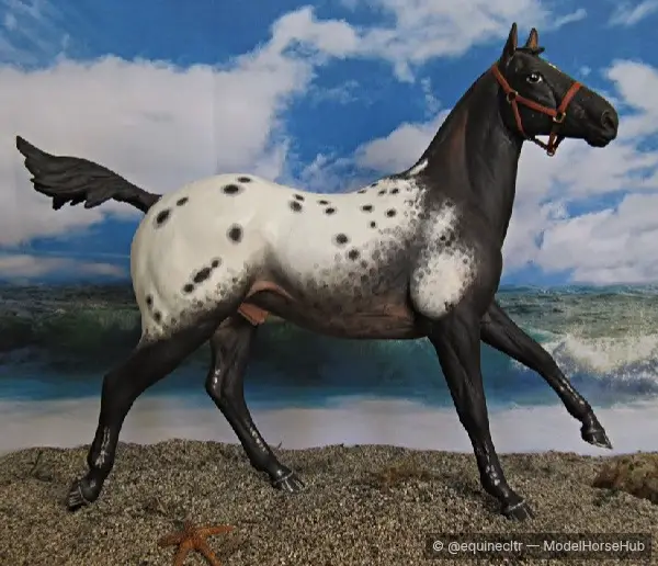 OhSayCanYouSpotMe — entry in OF Appaloosa