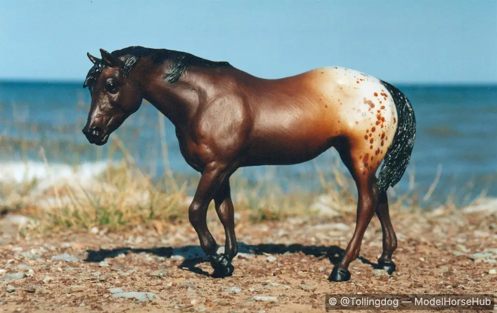 Six Nations — entry in Appaloosa