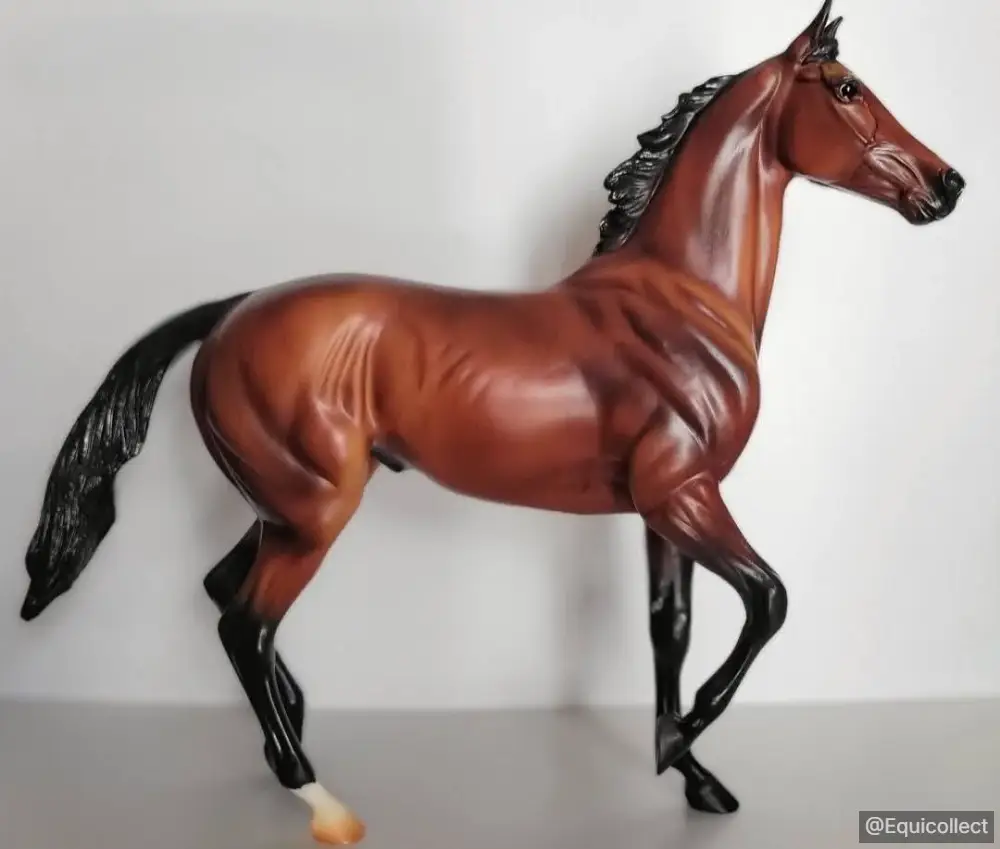 EQC Tequila Mockingbird — entry in Thoroughbred, Warmblood & Sport