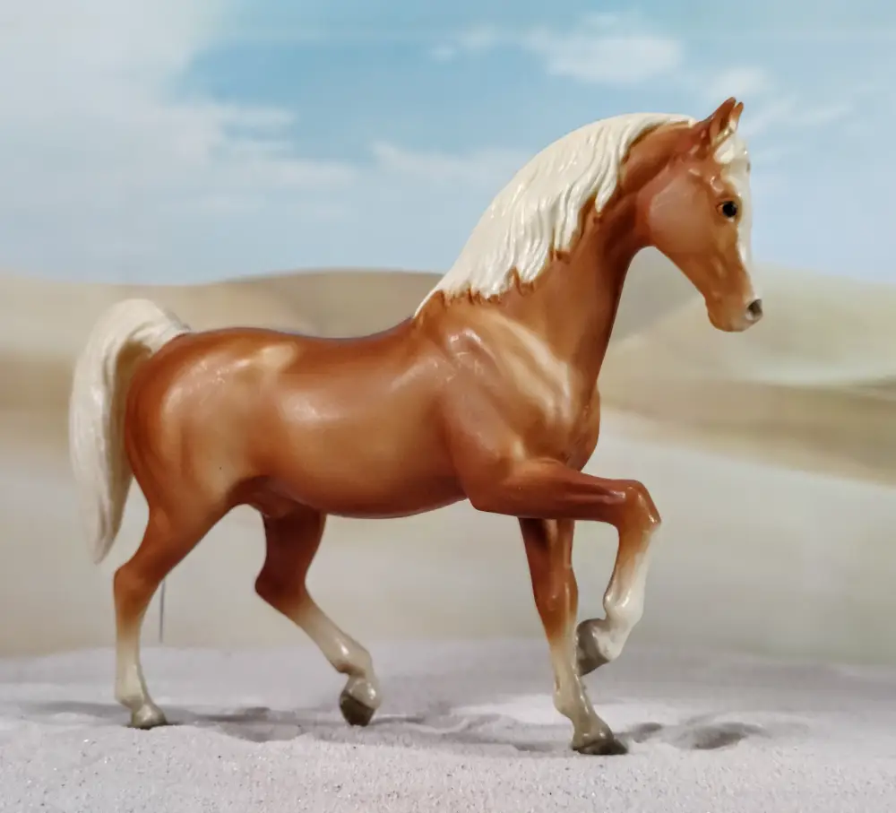 Family Arabian Stallion
