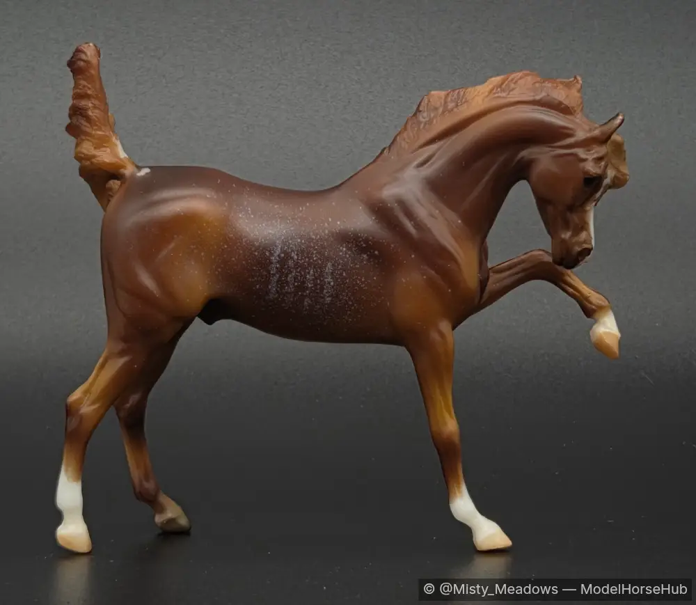 Twist — entry in Arabian, Part-Arabian & Gaited