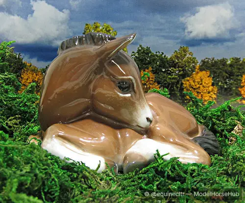 Broderie — entry in OF Draft & Pony Breed Foals