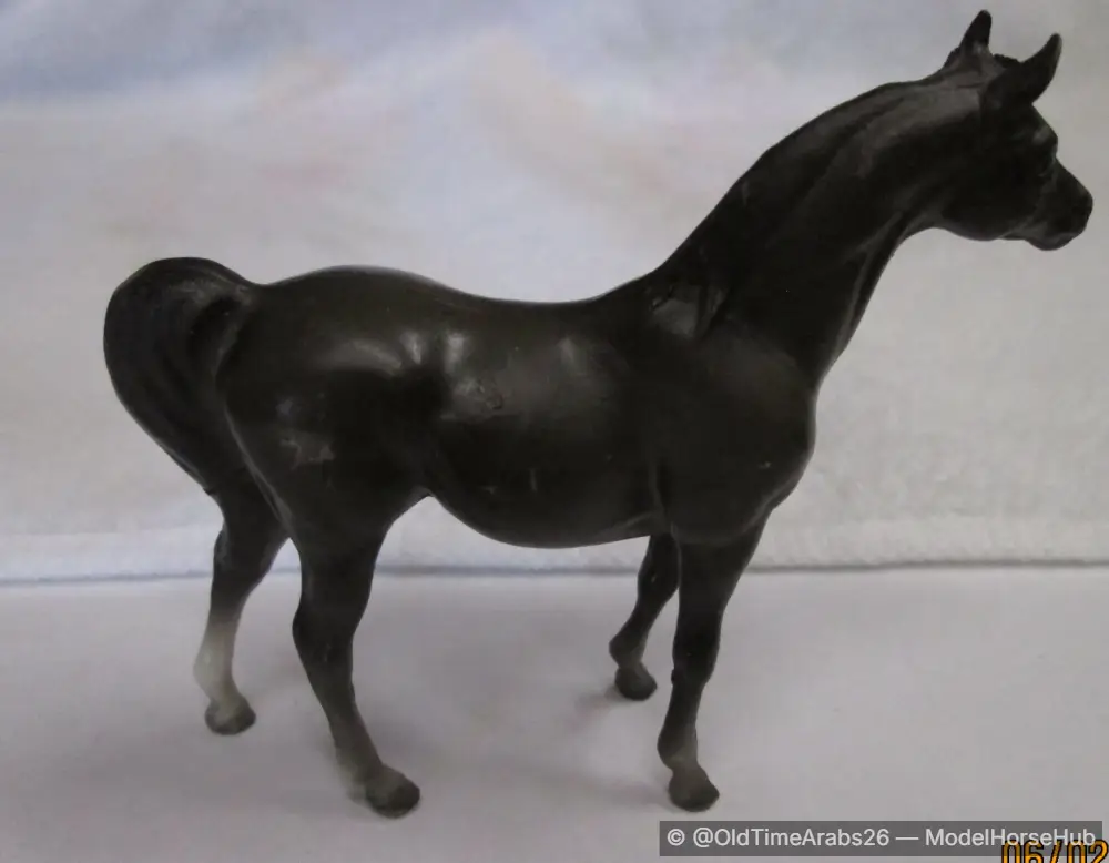 Arabian Stallion 5120