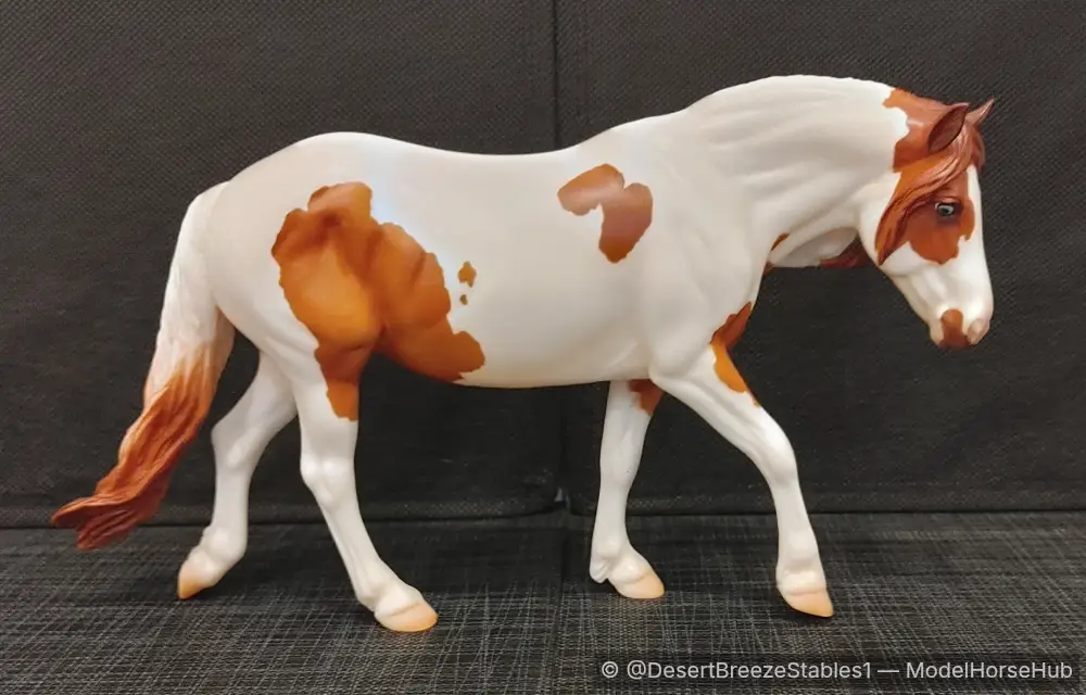 DBS Jollie Dollie — entry in European Pony