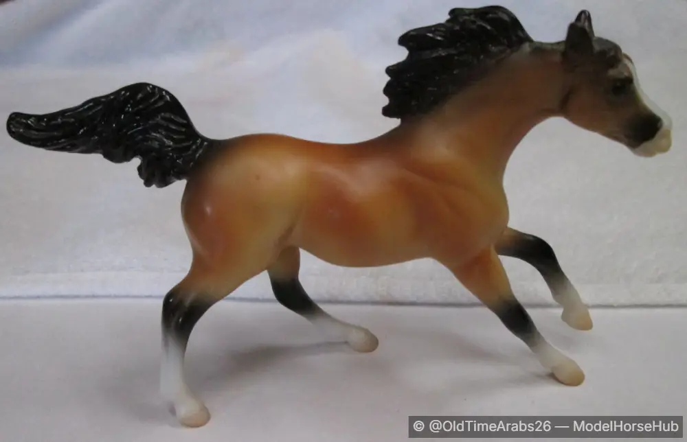 Arabian Endurance 97261