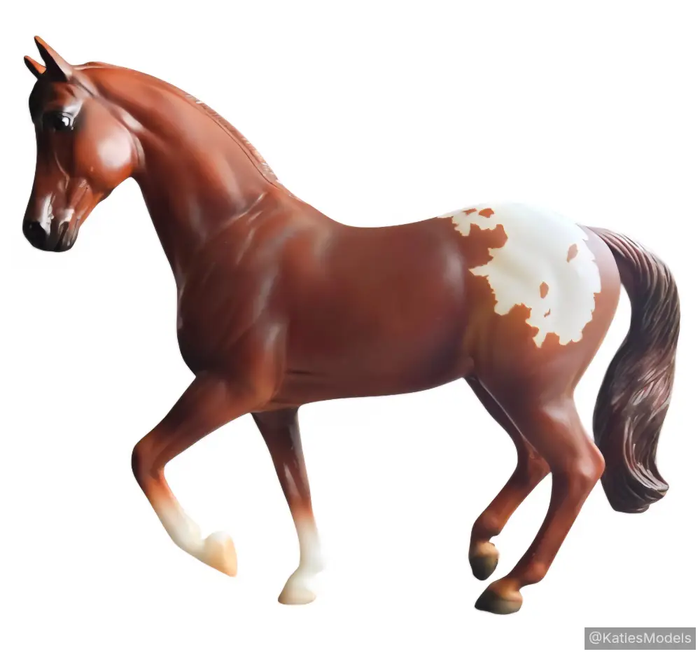 Chestnut Appaloosa