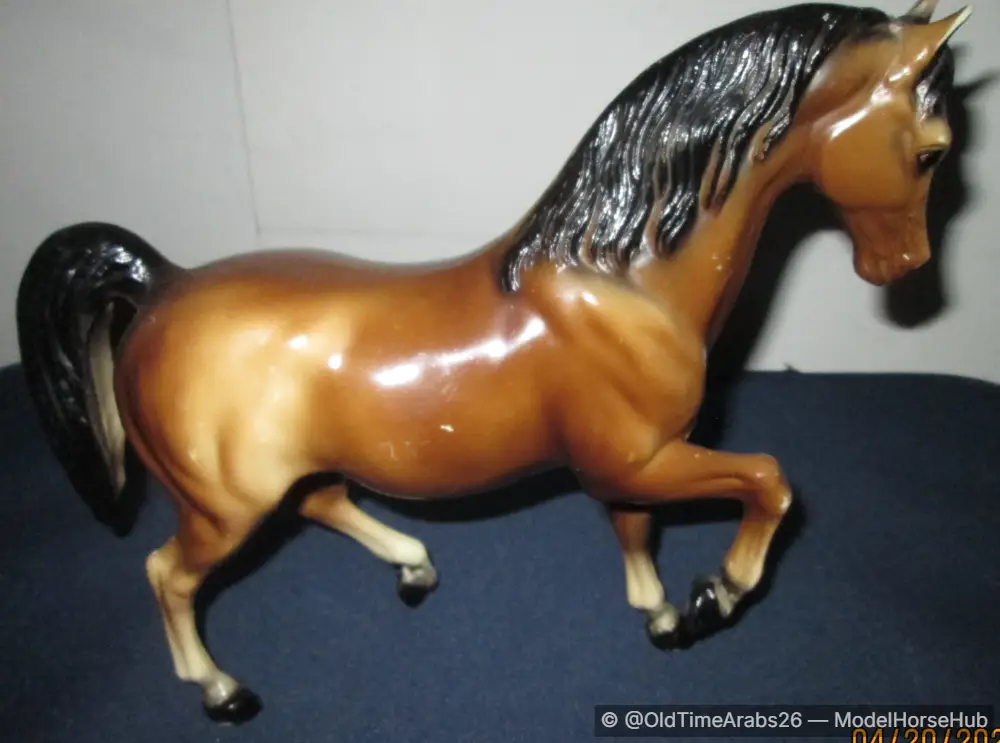 Sheik, Arabian Stallion