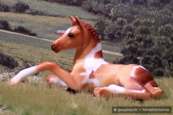 Fancy Everafter — entry in OF Light Breed Foals