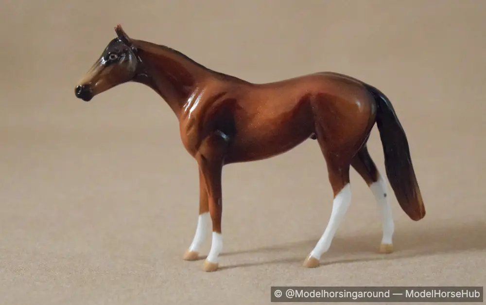 Sylvester Stallion — entry in Thoroughbred/Standardbred